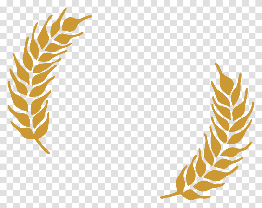 Wheat File Download Free Brew Kettle Wheat Beer, Plant, Fern, Flower, Blossom Transparent Png