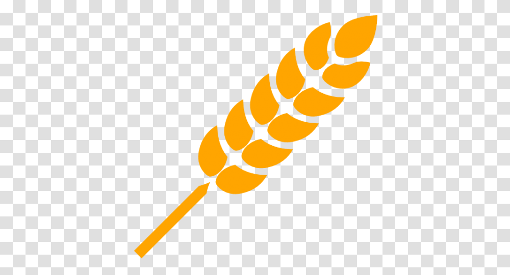 Wheat, Food, Paddle, Oars, Teeth Transparent Png