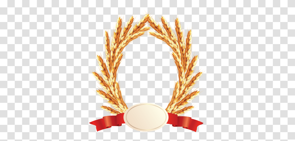 Wheat For Free Download Dlpng, Plant, Grain, Produce, Vegetable Transparent Png