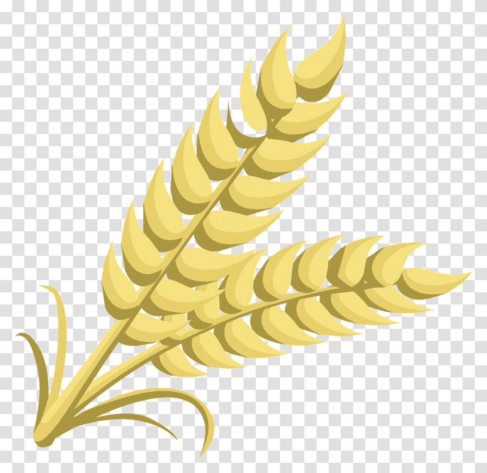 Wheat Grain Clipart, Plant, Fern, Vegetable, Food Transparent Png