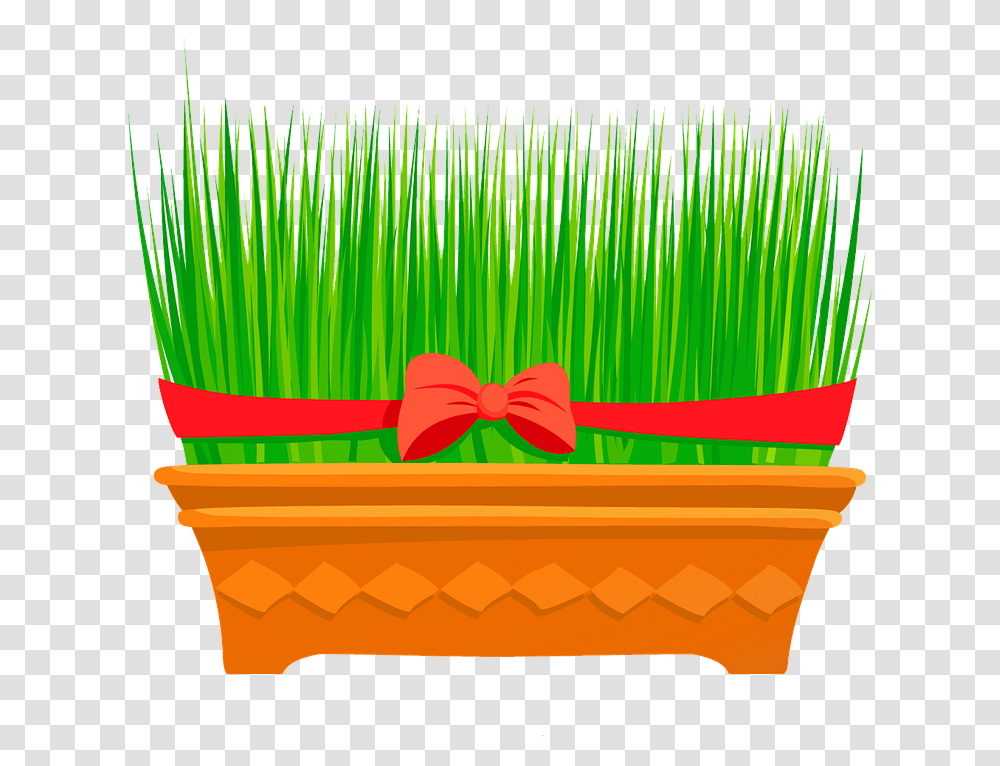 Wheat Grass Flower Season Outdoor Color Wheatgrass, Incense, Brush, Tool, Crib Transparent Png