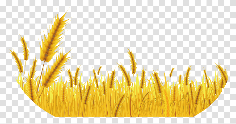 Wheat Hainanese Chicken Rice Illustration Vector Rice Grains, Plant, Vegetable, Food, Vegetation Transparent Png