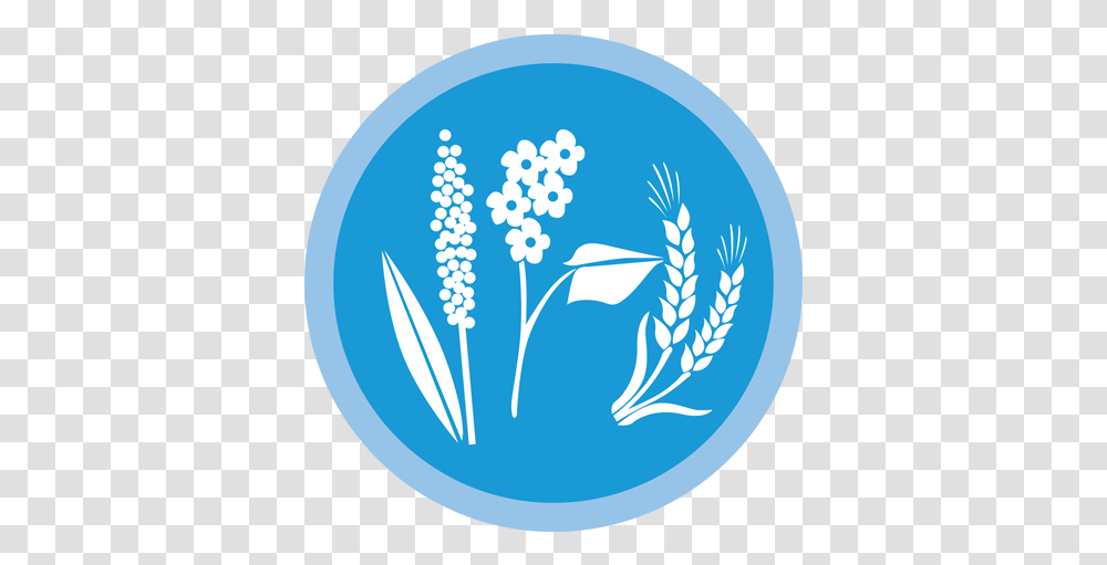 Wheat Icon New Video Game Full Size Download Seekpng Grains, Plant, Logo, Symbol, Flower Transparent Png