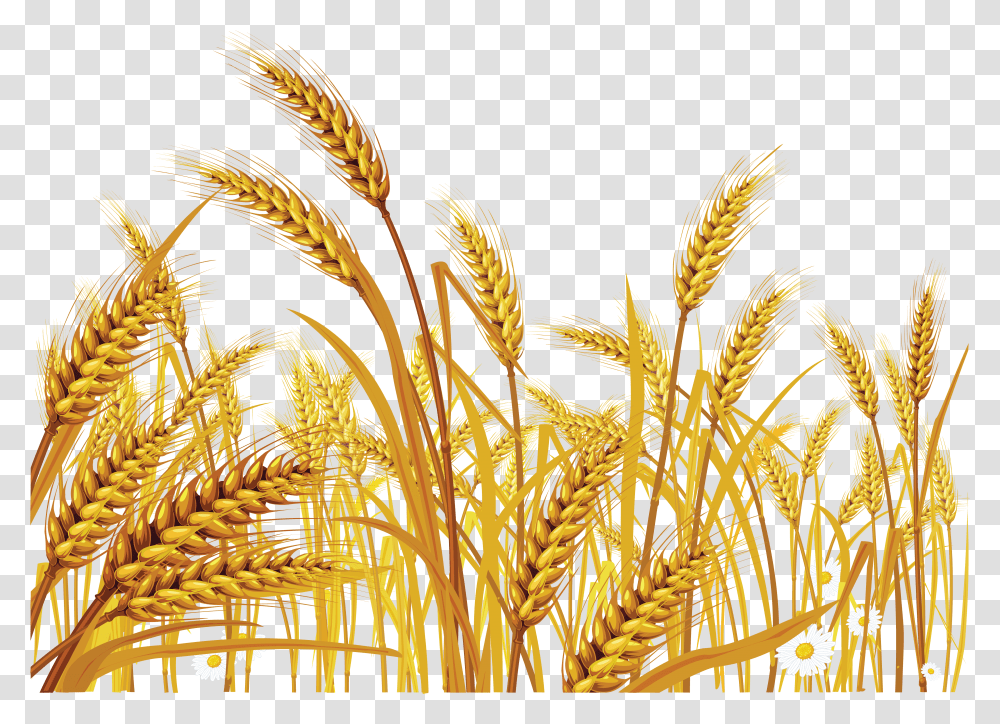 Wheat Image New Jerusalem Heavenly Mother, Plant, Grass, Vegetation, Vegetable Transparent Png