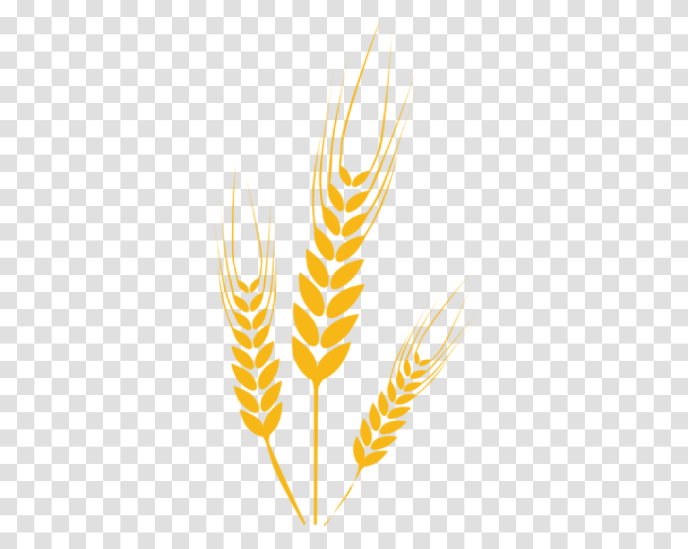 Wheat Image Wheat Clipart, Plant, Grass, Vegetable, Food Transparent Png