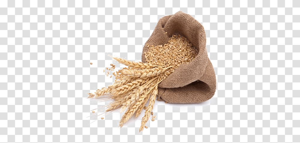 Wheat Images Background Wheat, Plant, Food, Vegetable, Produce Transparent Png