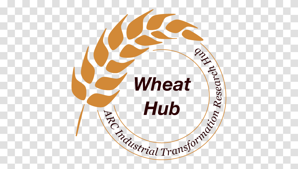 Wheat In A Hot And Dry Climate - Hub Director Dr Cambridge Training College Britain, Hand, Text, Hook Transparent Png