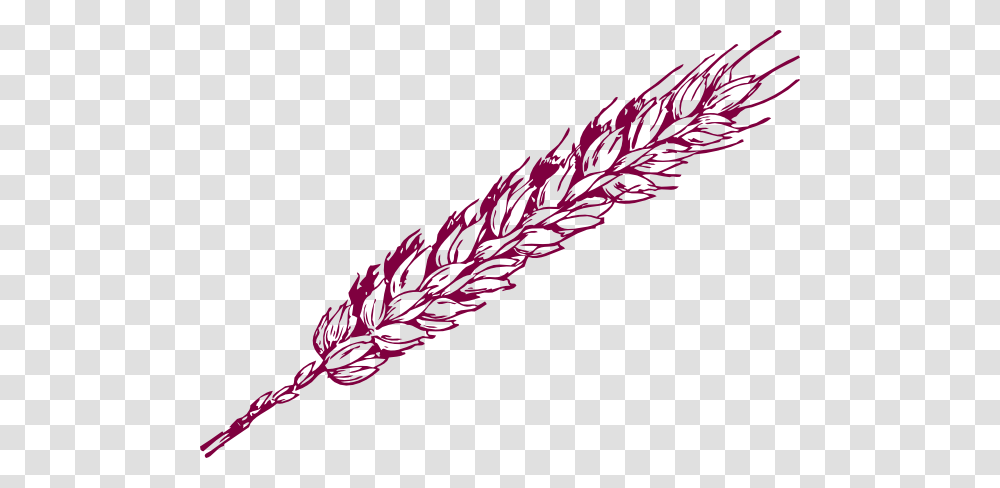 Wheat Line Drawings, Grass, Plant, Potted Plant, Vase Transparent Png