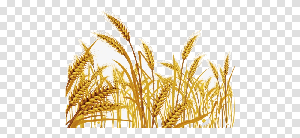 Wheat Malt Clipart Grass Free New Jerusalem Heavenly Mother, Plant, Vegetable, Food, Vegetation Transparent Png