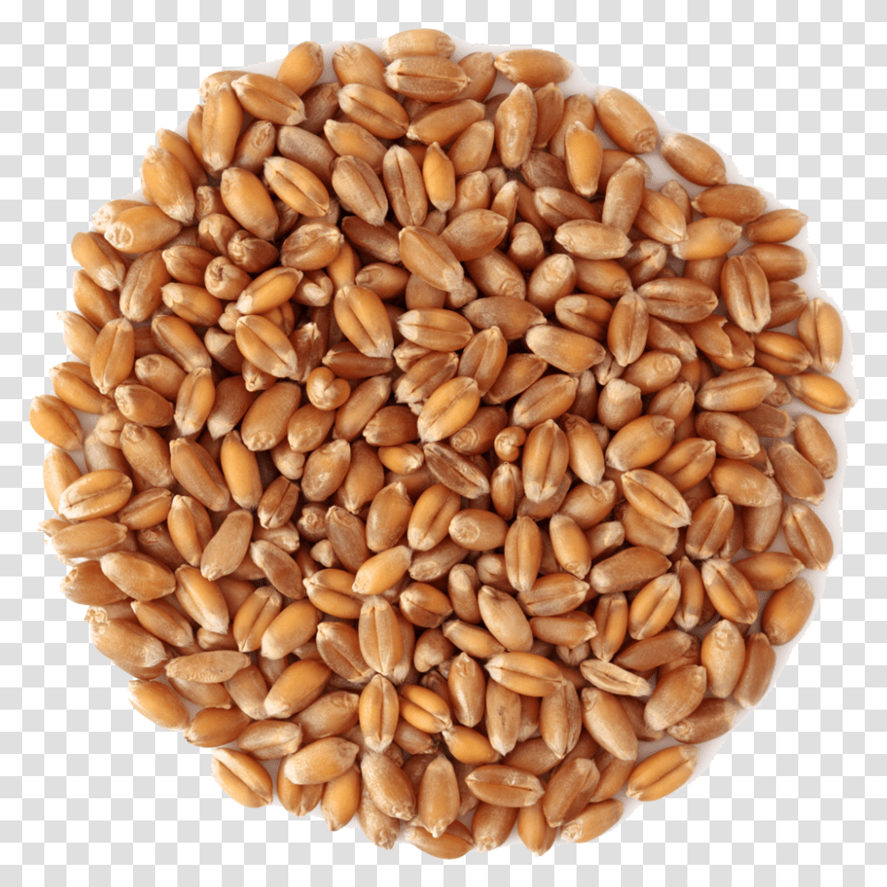 Wheat Middlings, Plant, Fungus, Vegetable, Food Transparent Png