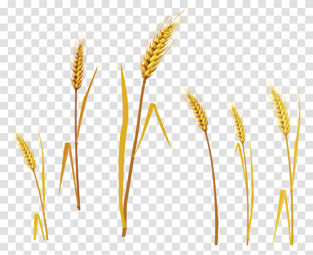Wheat, Nature, Arrow, Construction Crane Transparent Png