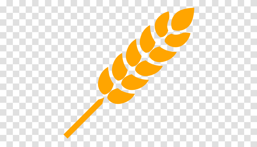 Wheat, Nature, Food, Paddle, Oars Transparent Png