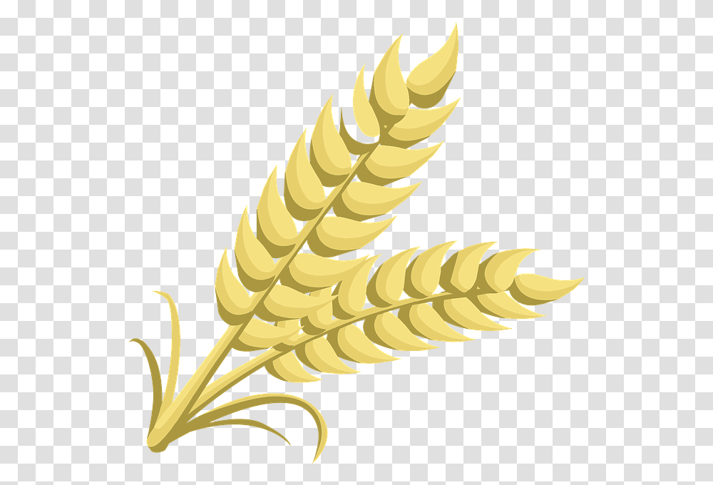 Wheat, Nature, Plant, Banana, Fruit Transparent Png