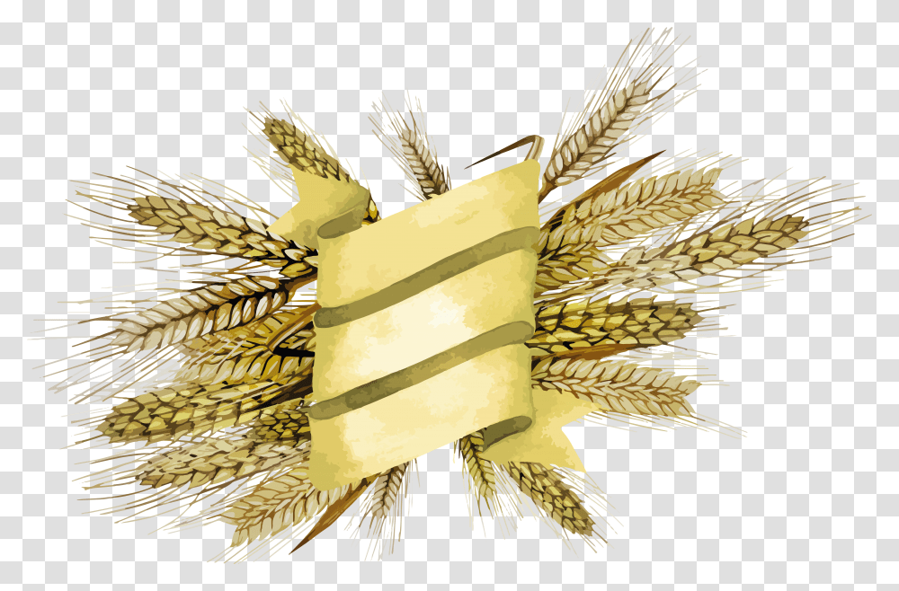 Wheat, Nature, Plant, Bird, Poster Transparent Png