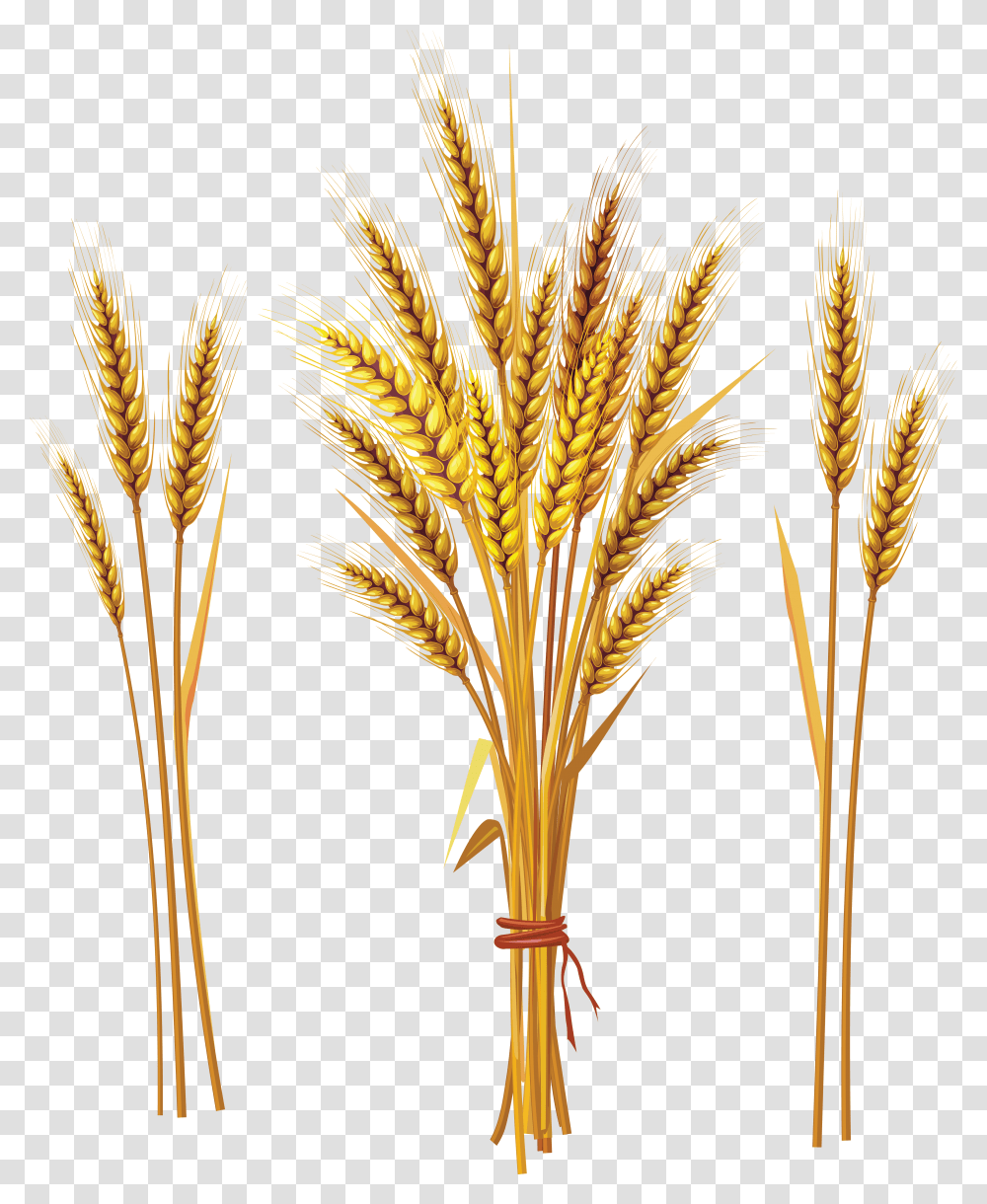 Wheat, Nature, Plant, Construction Crane, Vegetable Transparent Png
