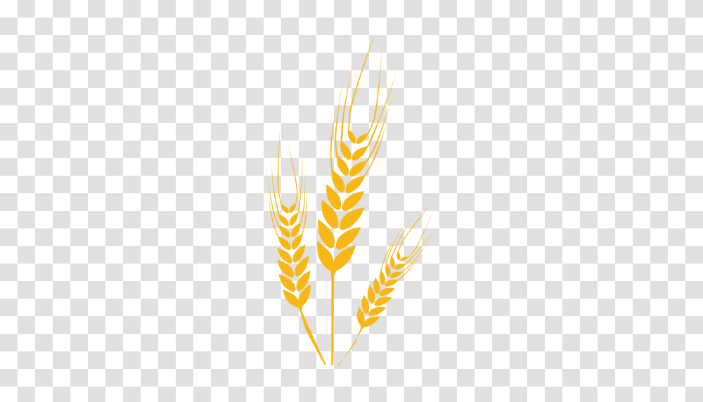 Wheat, Nature, Plant, Hook, Claw Transparent Png