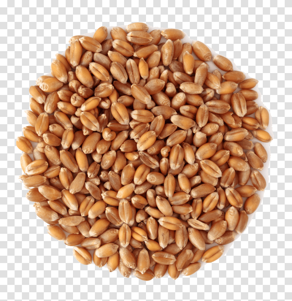 Wheat, Nature, Plant, Vegetable, Food Transparent Png