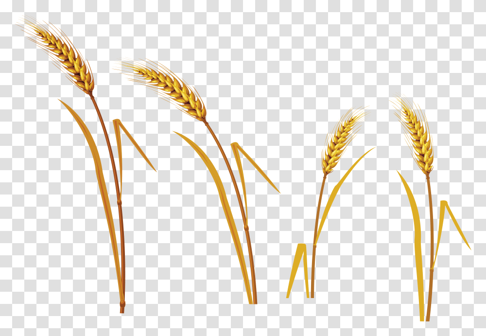 Wheat, Nature, Construction Crane, Label Transparent Png