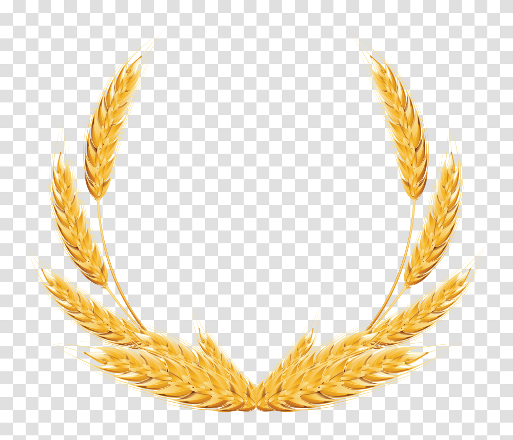 Wheat, Nature Transparent Png