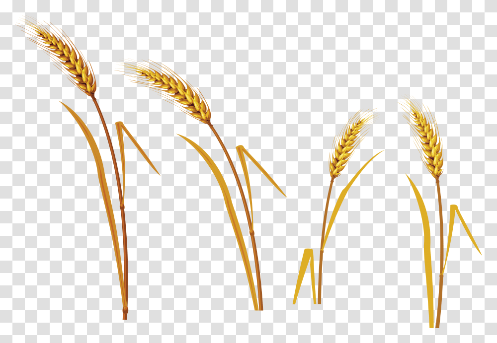 Wheat Pictures Icons And Phragmites, Construction Crane, Label Transparent Png