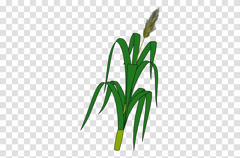 Wheat Plant Food Clip Art, Produce, Leek, Vegetable Transparent Png