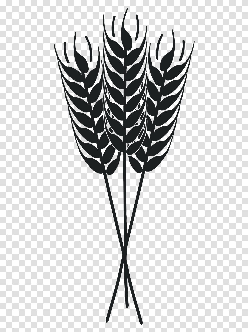 Wheat, Plant, Pineapple, Fruit, Food Transparent Png