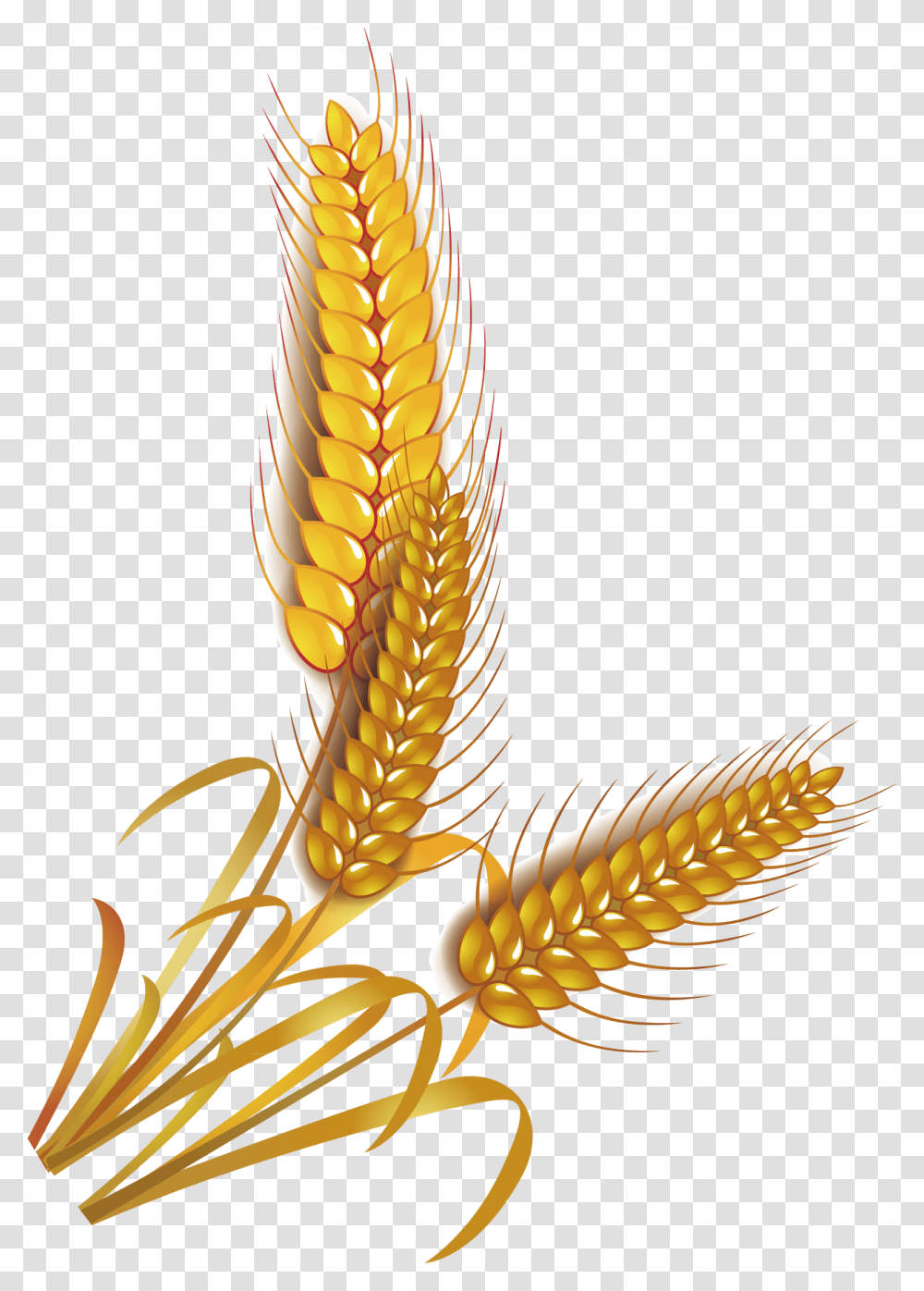 Wheat Rice Cereal Whole Grain Clip Art Grain Rice Vector, Plant, Vegetable, Food, Vegetation Transparent Png