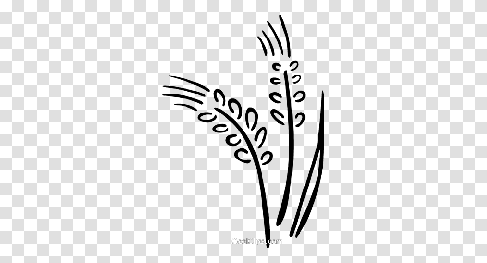 Wheat Royalty Free Vector Clip Art Illustration, Floral Design, Pattern, Stencil Transparent Png