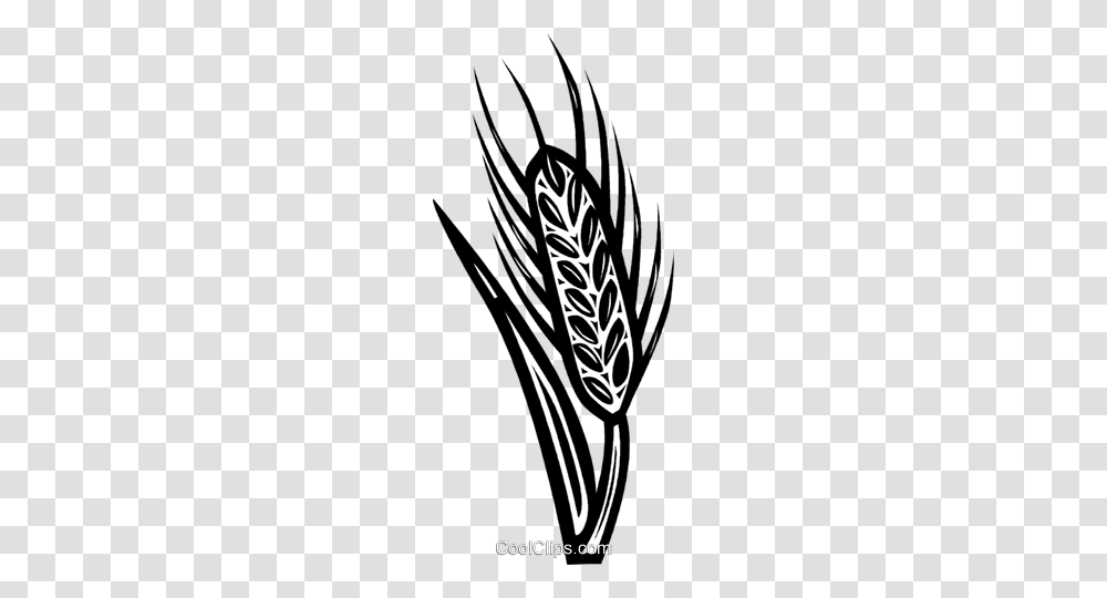 Wheat Royalty Free Vector Clip Art Illustration, Plant, Grass, Flower, Vegetable Transparent Png