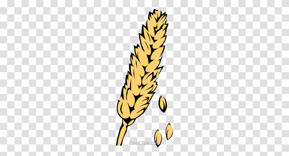 Wheat Royalty Free Vector Clip Art Illustration, Plant, Vegetable, Food, Grain Transparent Png