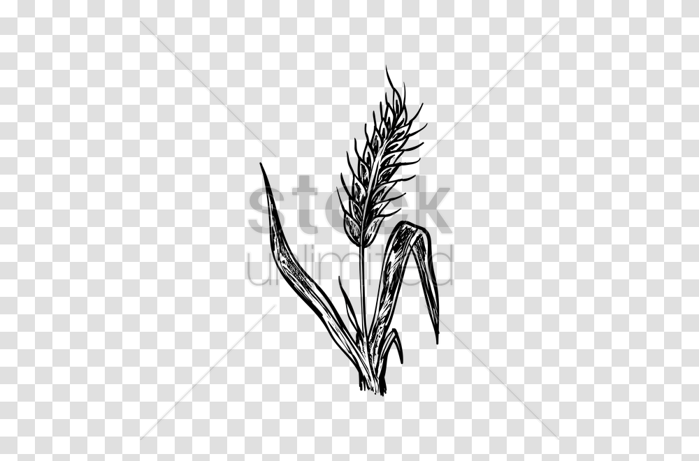 Wheat Stalk Vector Image, Bow, Arrow Transparent Png