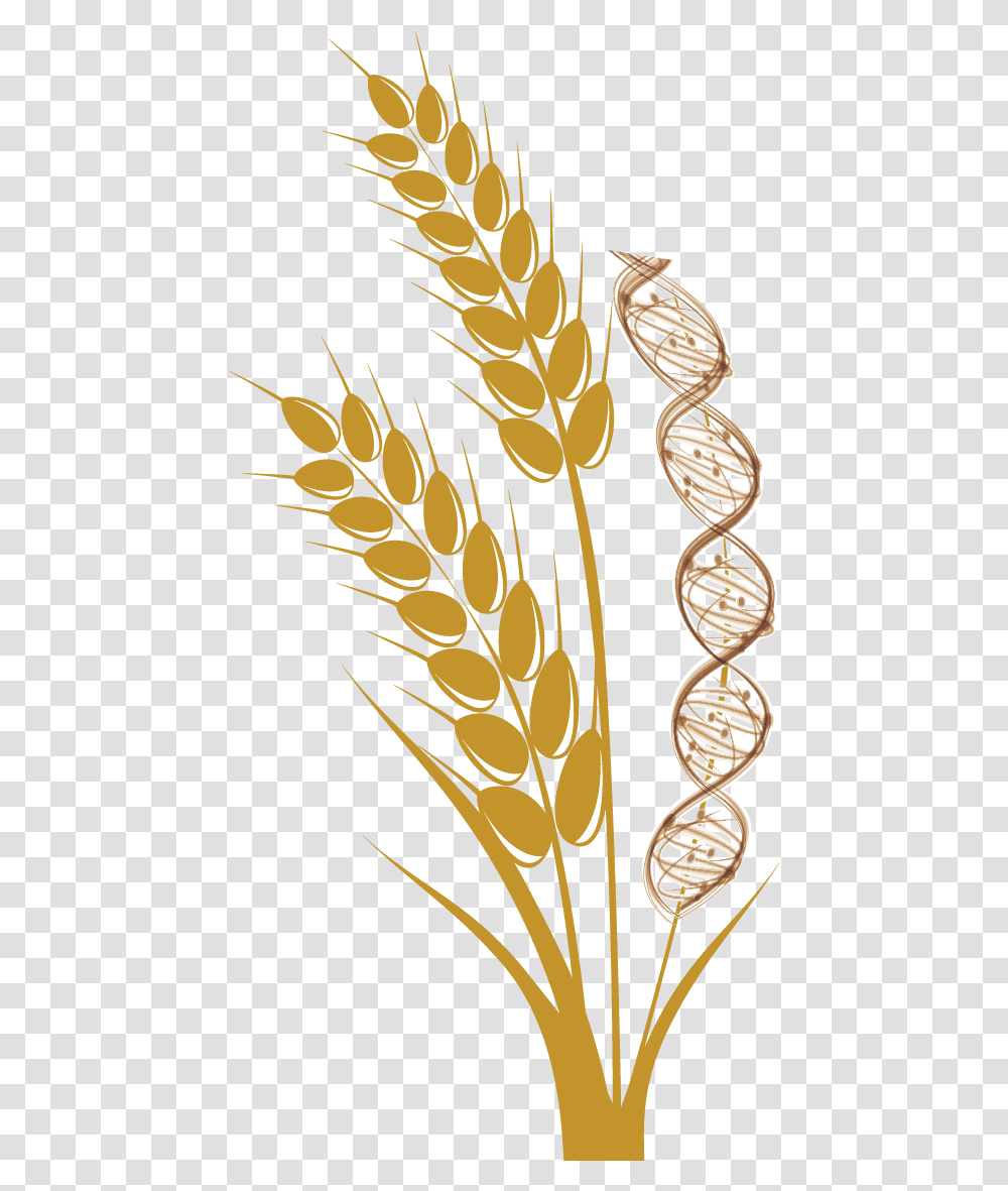 Wheat Stalk Wheat, Floral Design, Pattern Transparent Png