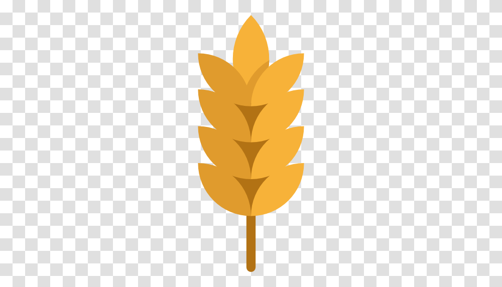 Wheat, Fire, Light, Candle Transparent Png