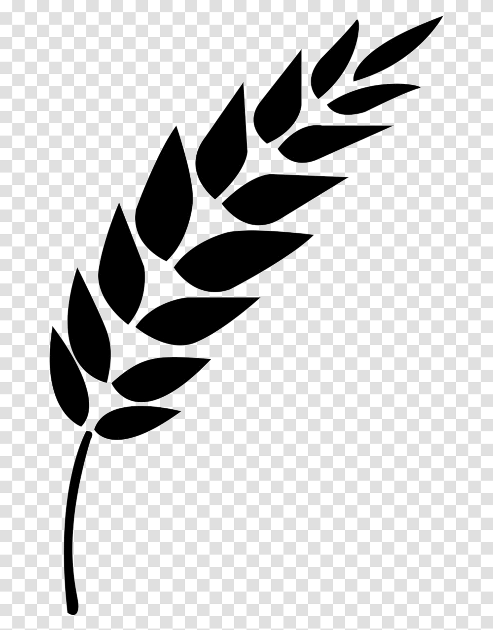 Wheat Vector Black And White Stalk Clipart Icon Vector Wheat, Spider Web, Gray Transparent Png
