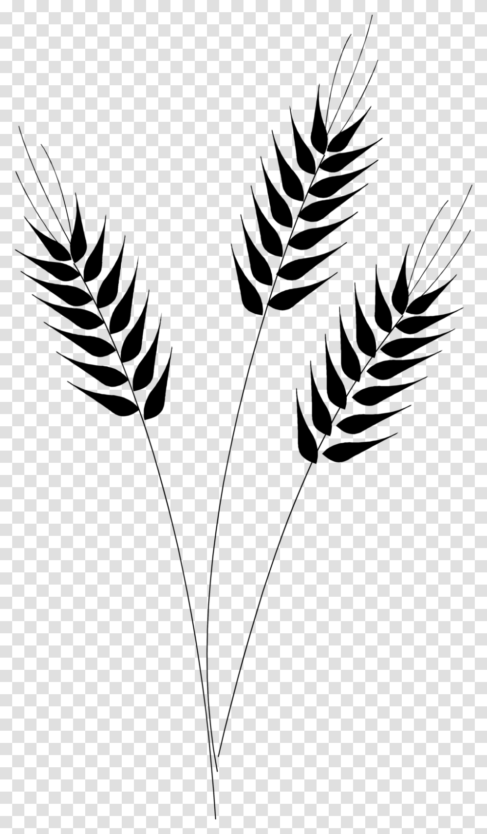 Wheat Vector Clip Art Black And White Wheat, Gray Transparent Png