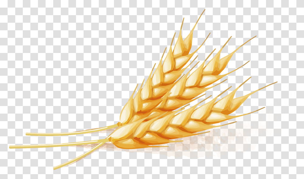 Wheat Vector Free Wheat Vector, Plant, Food, Vegetable, Grain Transparent Png