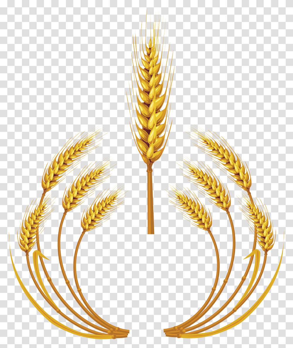 Wheat Wheat Logo, Plant, Vegetable, Food, Flower Transparent Png