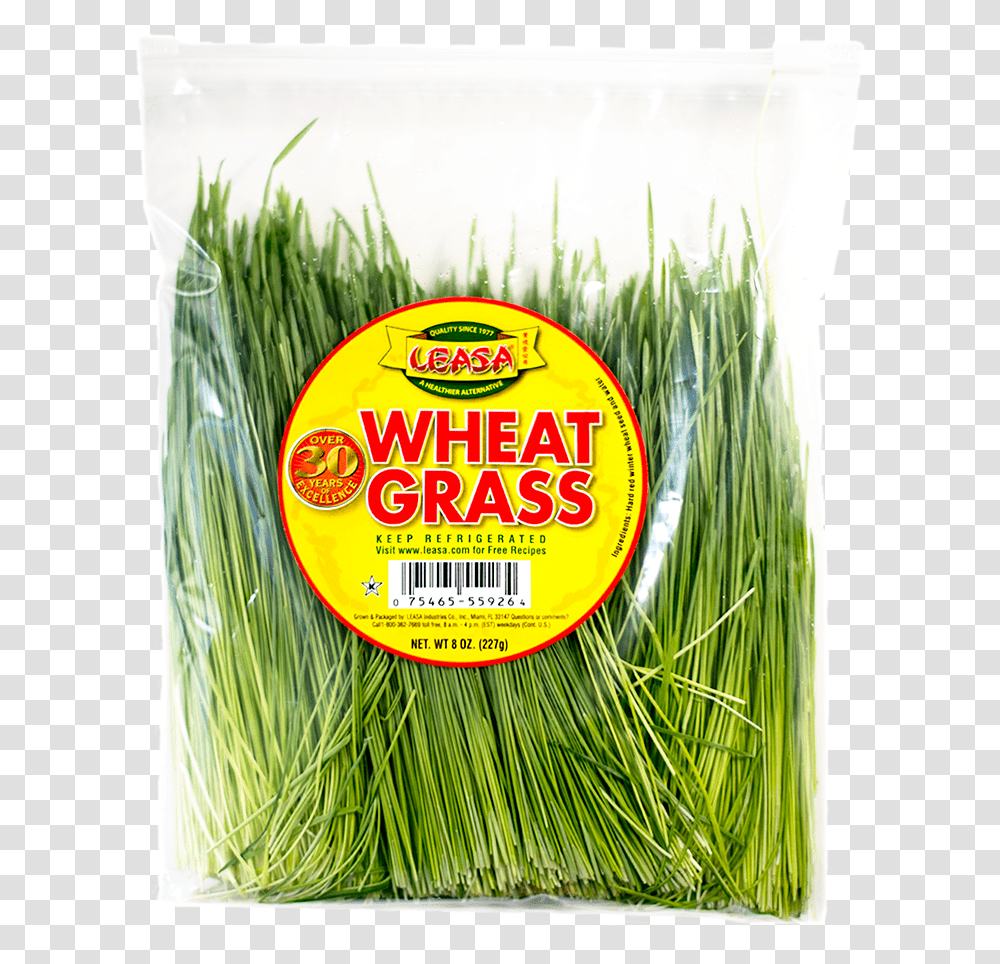 Wheatgrass Without Bg Leek, Plant, Food, Vegetable, Root Transparent Png