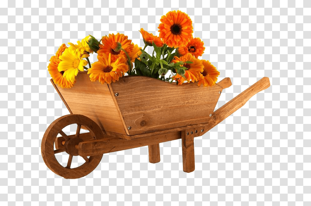 Wheelbarrow Flower Marigold Photography, Vehicle, Transportation, Plant, Blossom Transparent Png