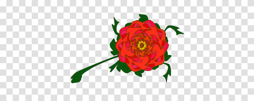 Wheelbarrow Garden Tool Download, Plant, Rose, Flower, Blossom Transparent Png