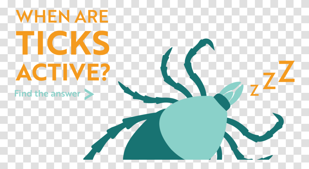 When Are Ticks Active Find The Answer Insect, Animal, Poster, Advertisement, Bag Transparent Png
