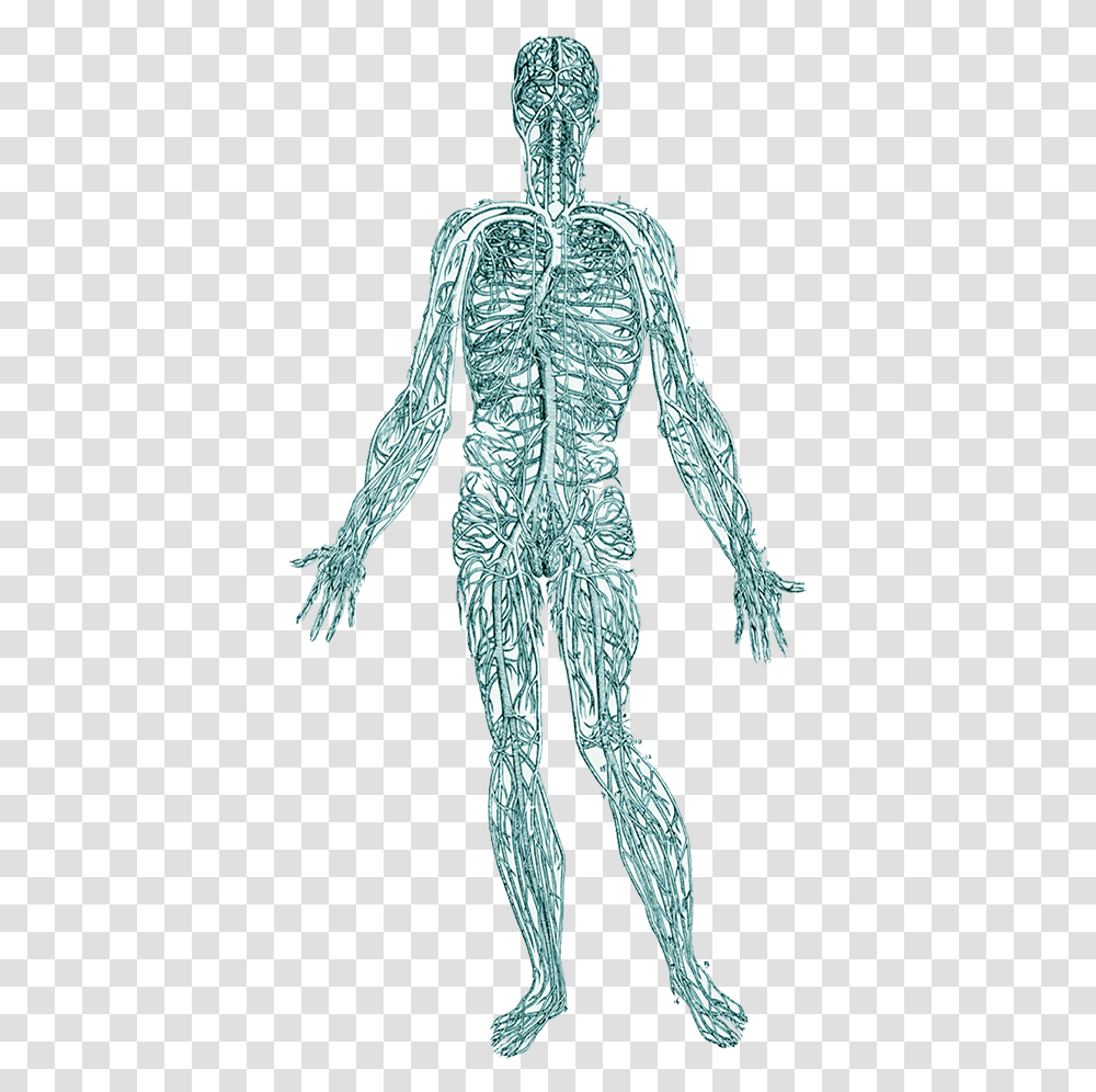 When Remove Trauma From The Body It Helps Regulate Nervous System Wallpaper Hd, Person, Human, Alien, Drawing Transparent Png