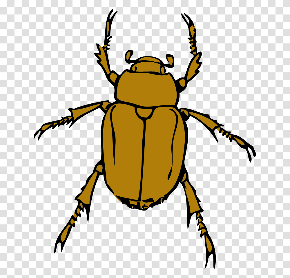 Where Clipart, Insect, Invertebrate, Animal, Dung Beetle Transparent Png