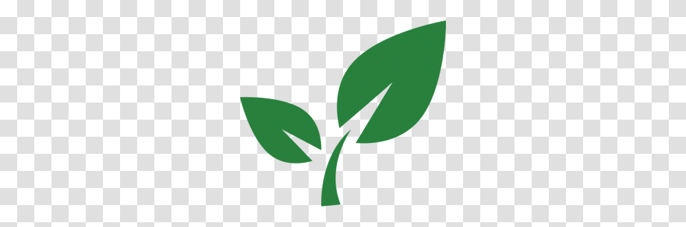 Where Does It Go, Leaf, Plant, Green Transparent Png