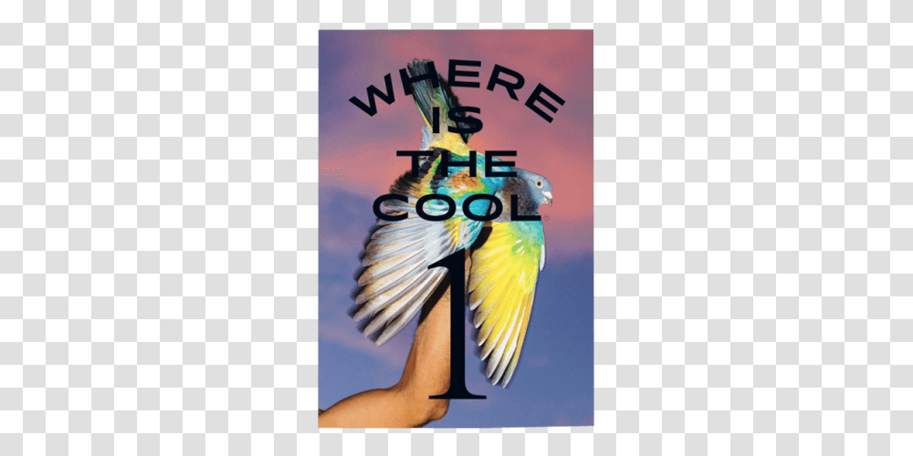 Where Is The Cool Magazine Graphic Design, Animal, Bird, Parrot Transparent Png