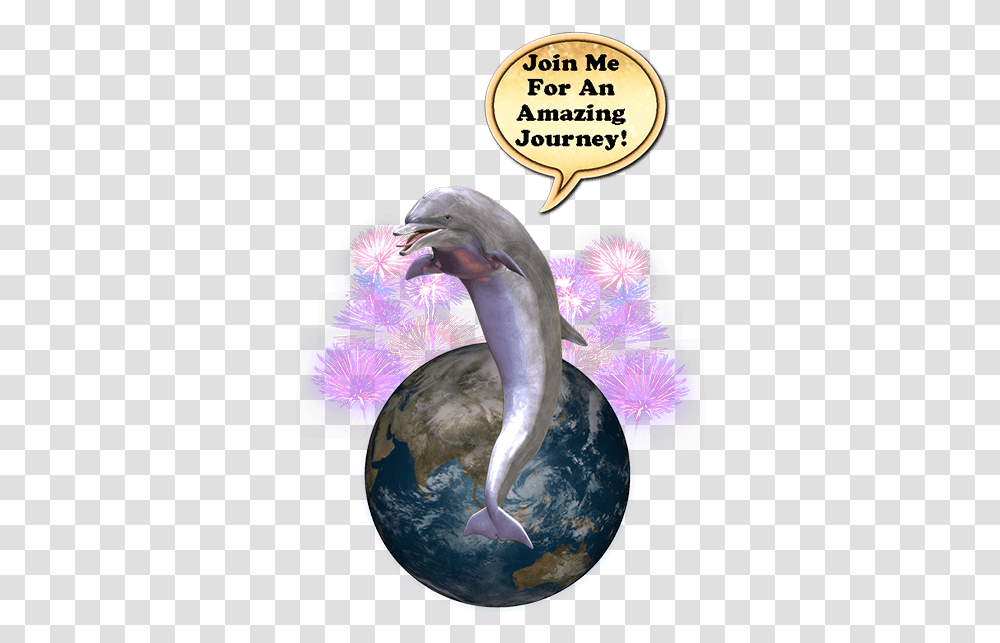 Where's The Dolphin Sticker Pack For Imessage Messages Common Bottlenose Dolphin, Bird, Animal, Sea Life, Mammal Transparent Png