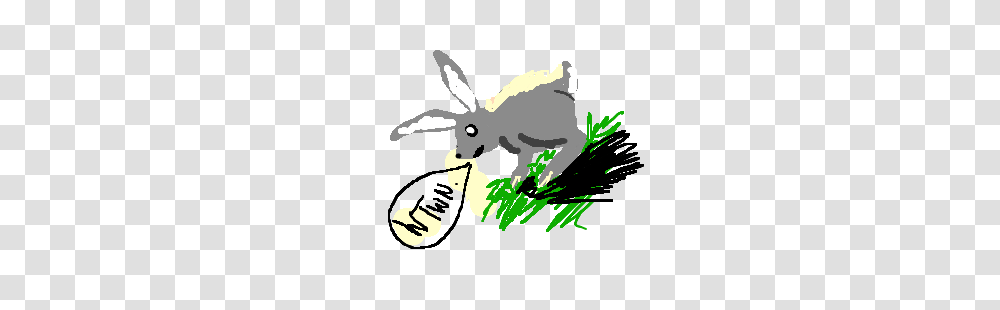 Where The Wild Things Are, Wildlife, Animal, Aardvark, Mammal Transparent Png