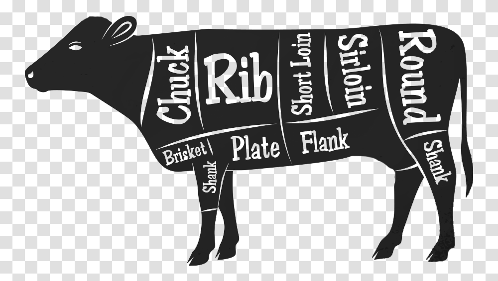 While Wall Street Cattle Does Not Sell Our Beef Yet Punxsutawney Phil, Animal, Mammal, Pig, Power Drill Transparent Png