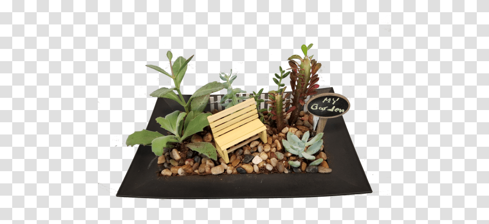 Whimsical Succulent Garden Houseplant, Potted Plant, Vase, Jar, Pottery Transparent Png