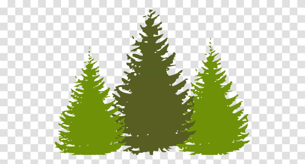 Whimsical Tree Cliparts Free Download Clip Art, Plant, Pine, Ornament, Christmas Tree Transparent Png